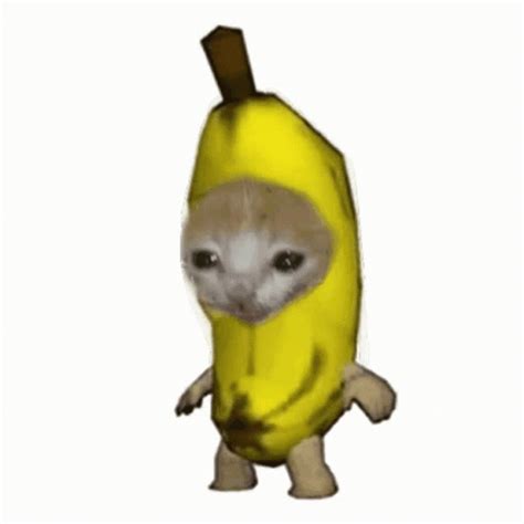 banana cat gif|banana cat png.